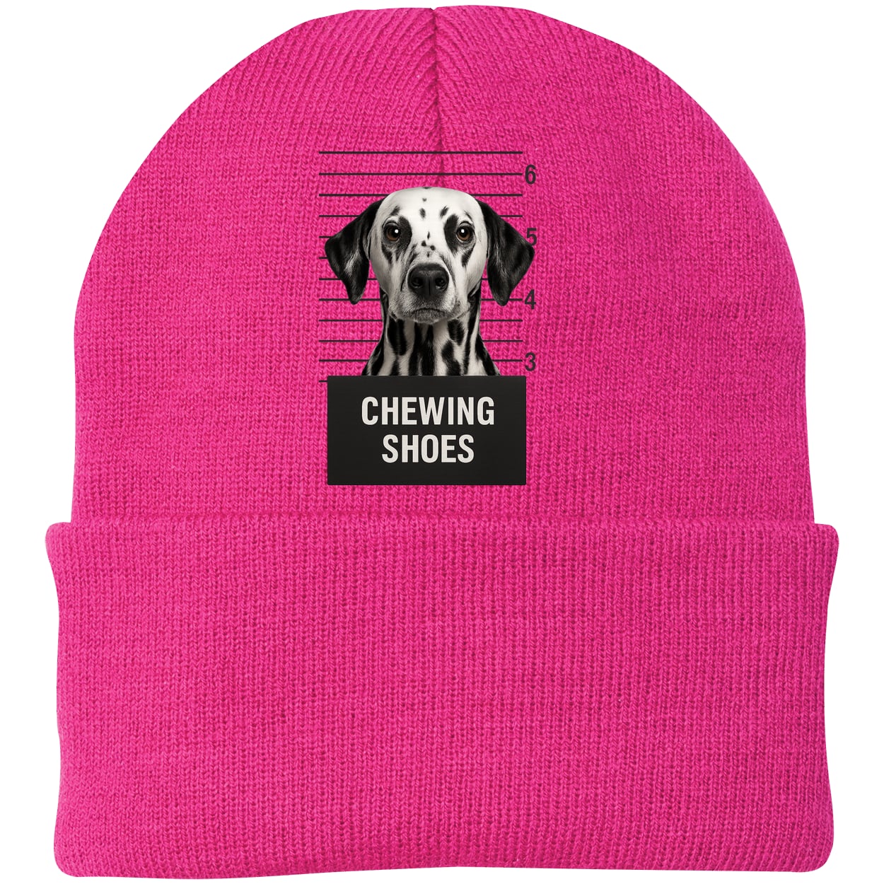CP90 Port & Company Knit Beanie - Neon Pink