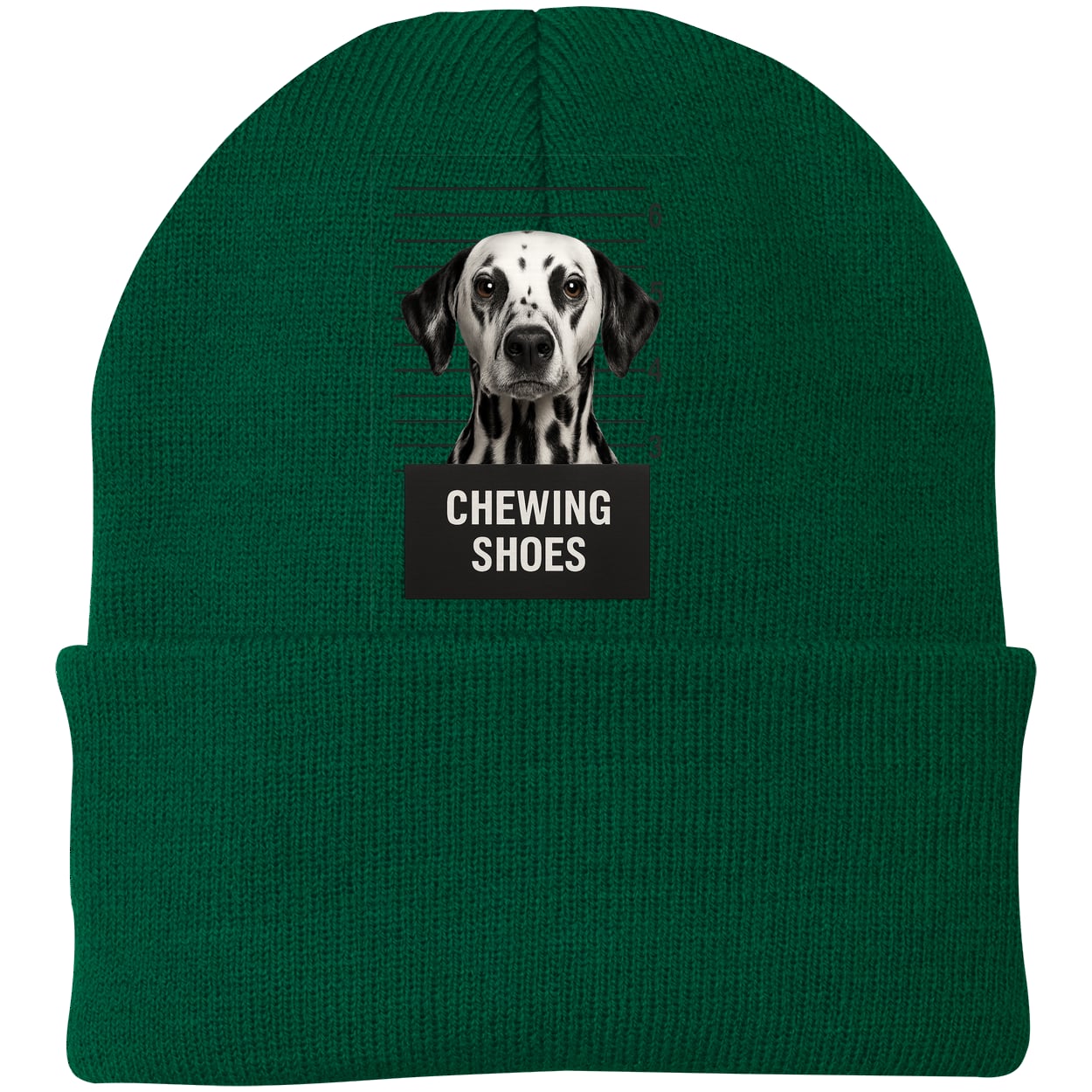 CP90 Port & Company Knit Beanie - Athletic Green
