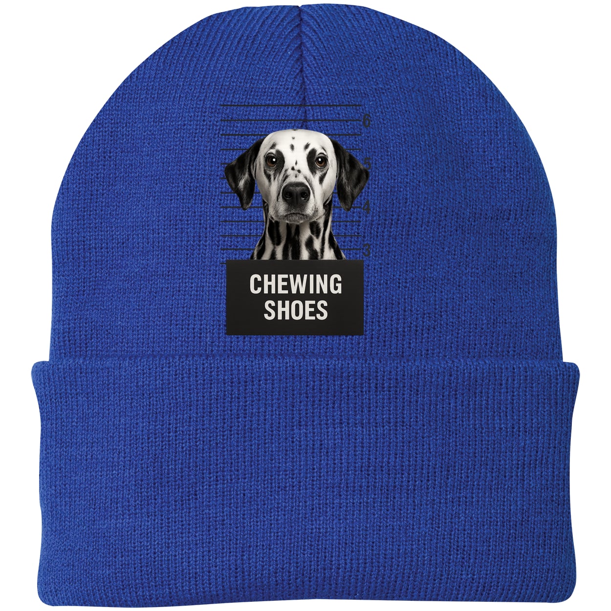 CP90 Port & Company Knit Beanie - Athletic Royal