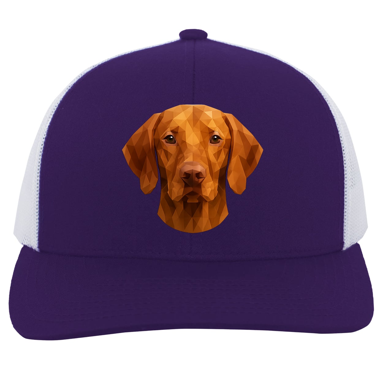 104C Trucker Snap Back - Purple/White