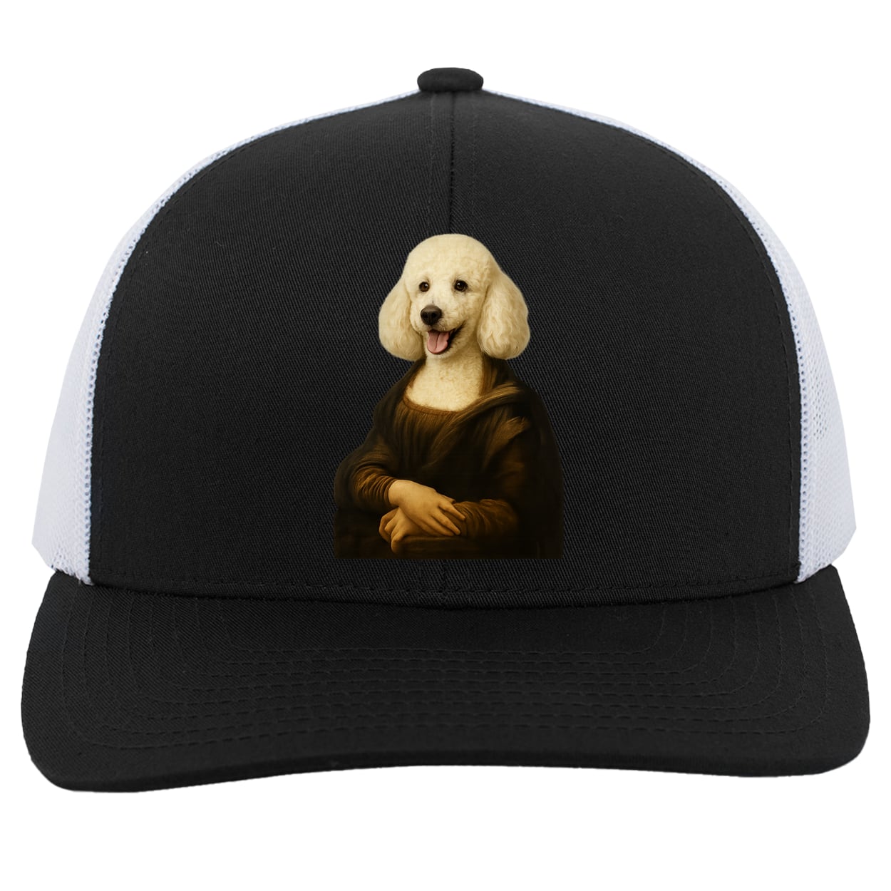 104C Trucker Snap Back - Black/White