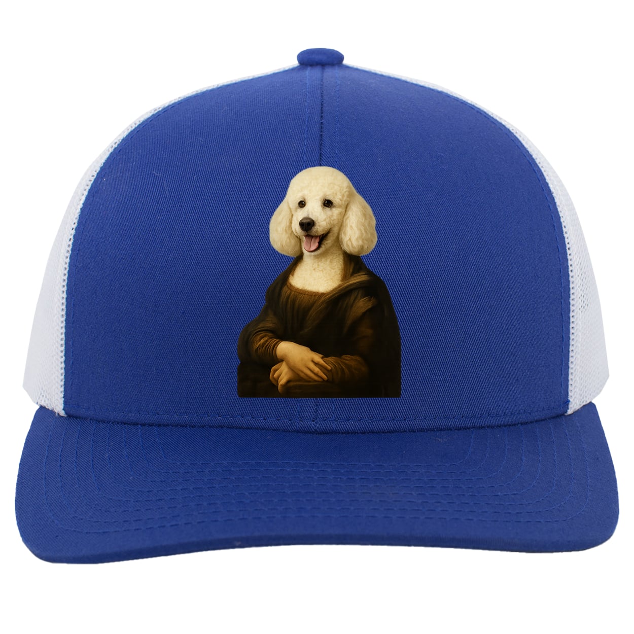 104C Trucker Snap Back - Royal/White