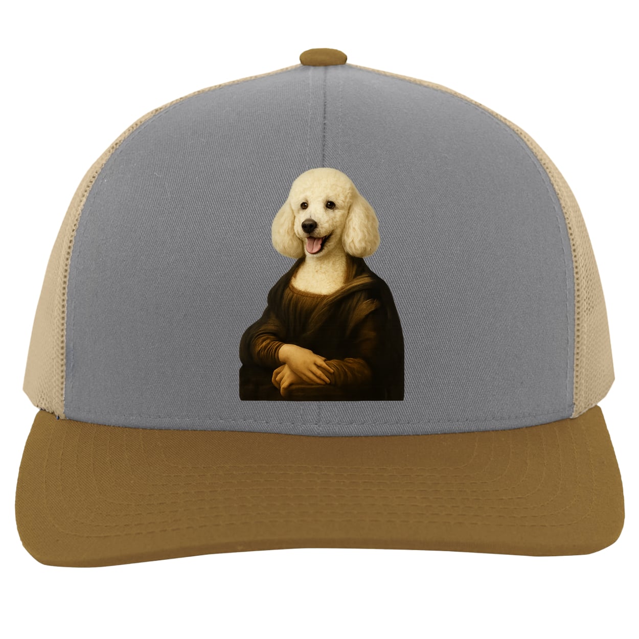104C Trucker Snap Back - Heather/Beige/Amber