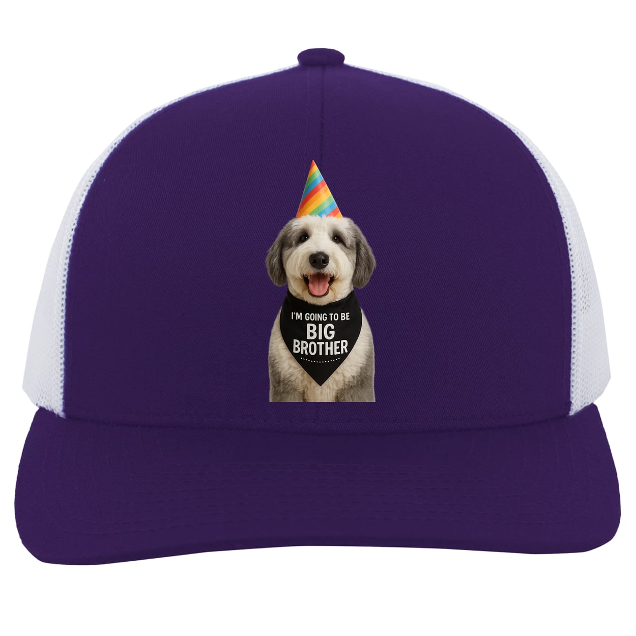 104C Trucker Snap Back - Purple/White