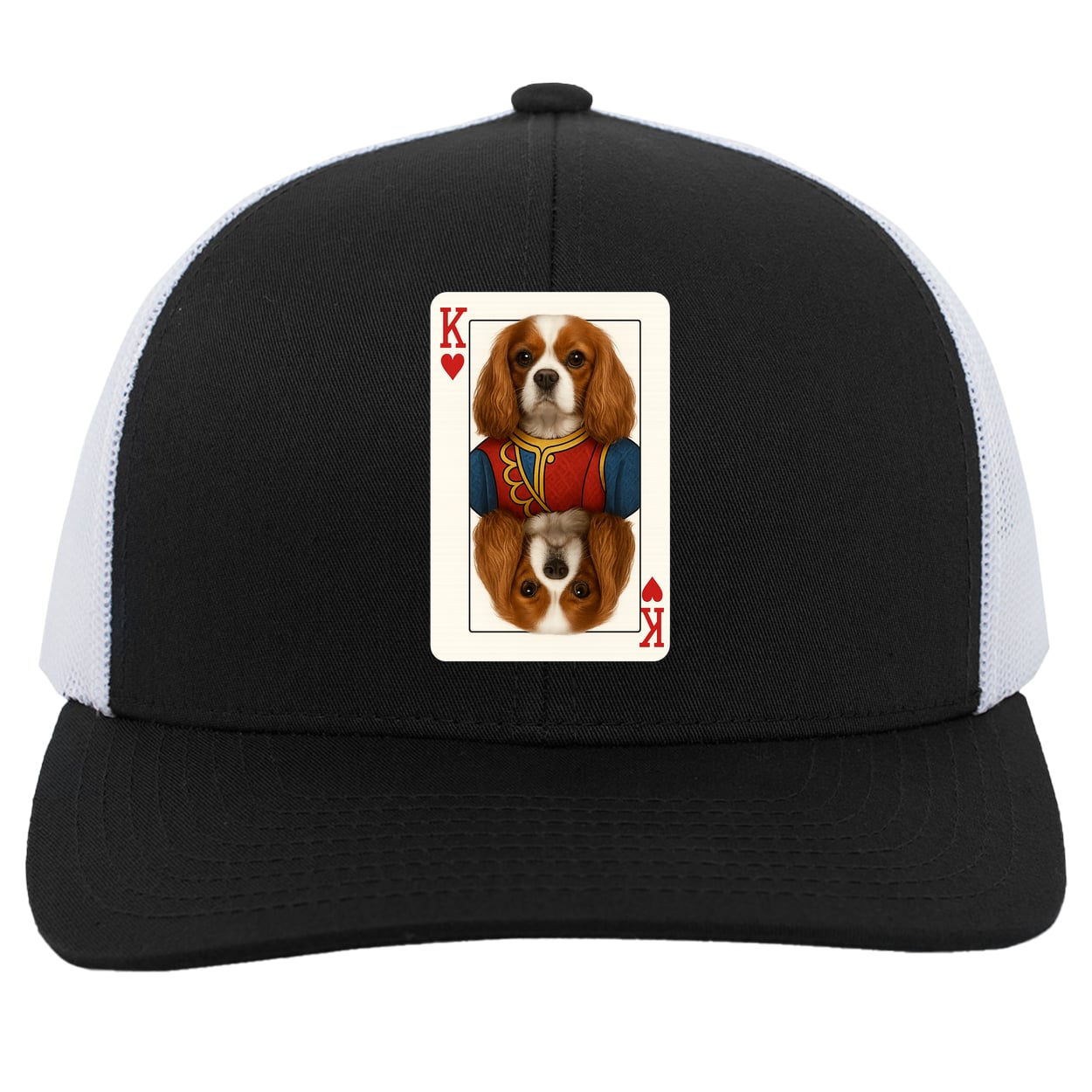 104C Trucker Snap Back - Black/White