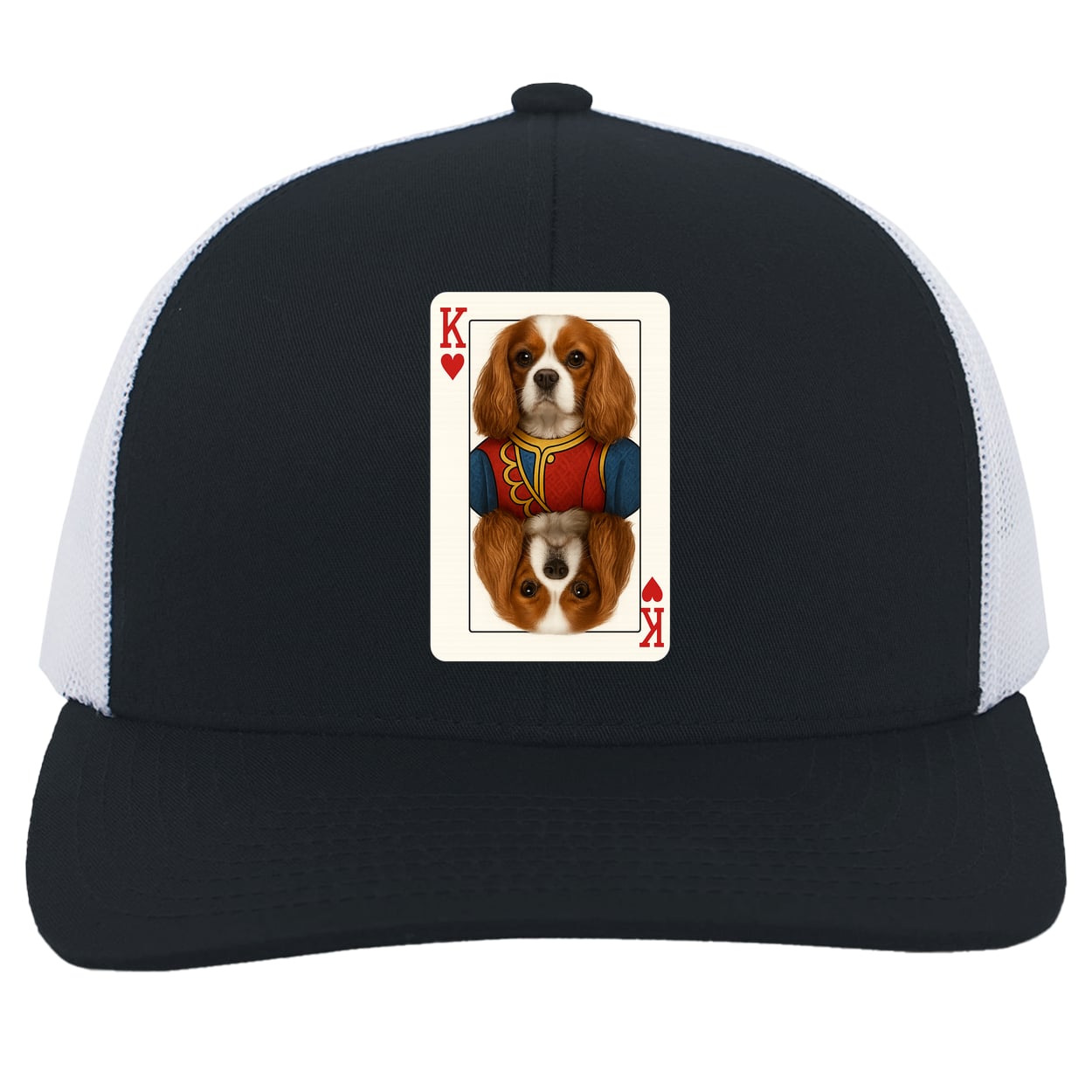 104C Trucker Snap Back - Navy/White