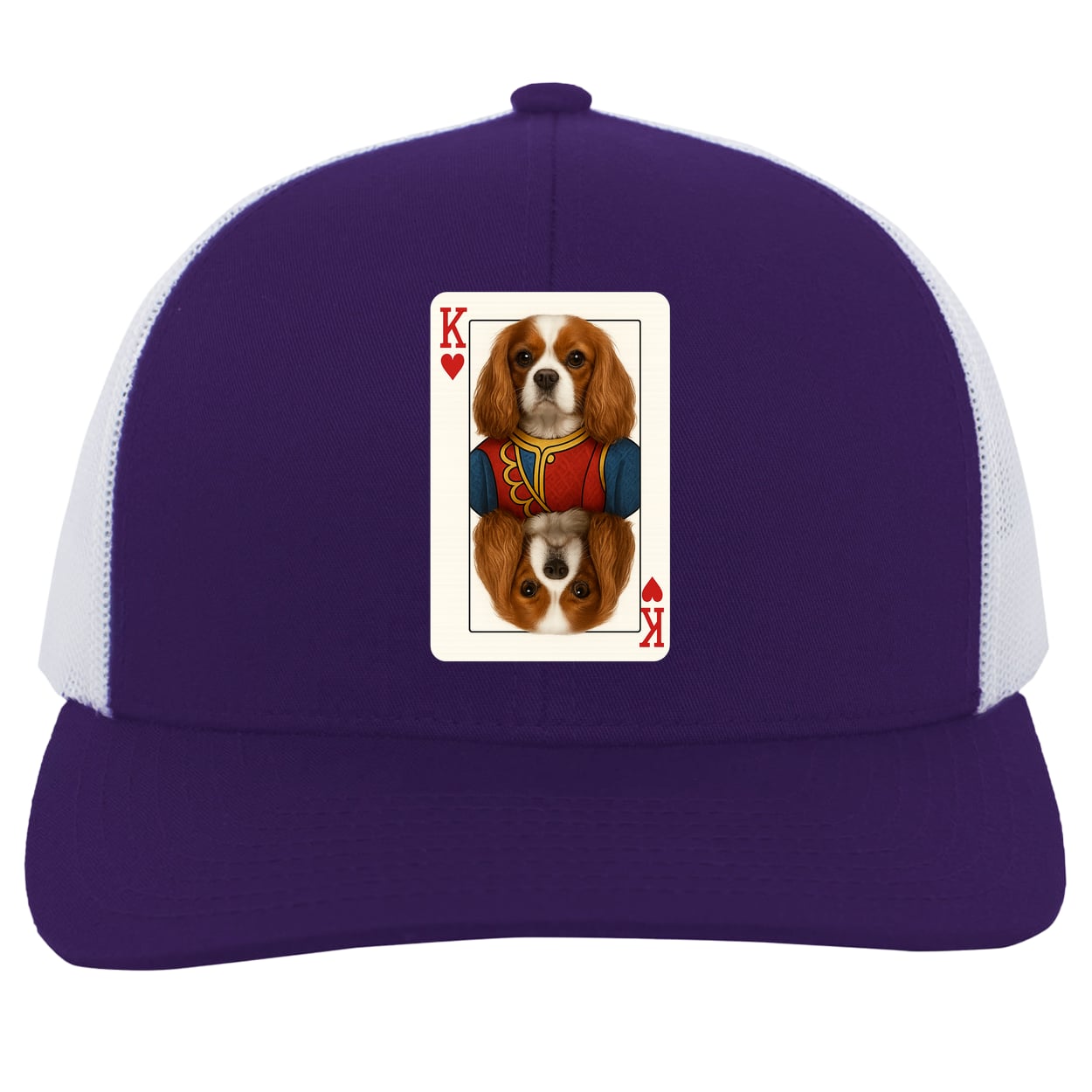 104C Trucker Snap Back - Purple/White
