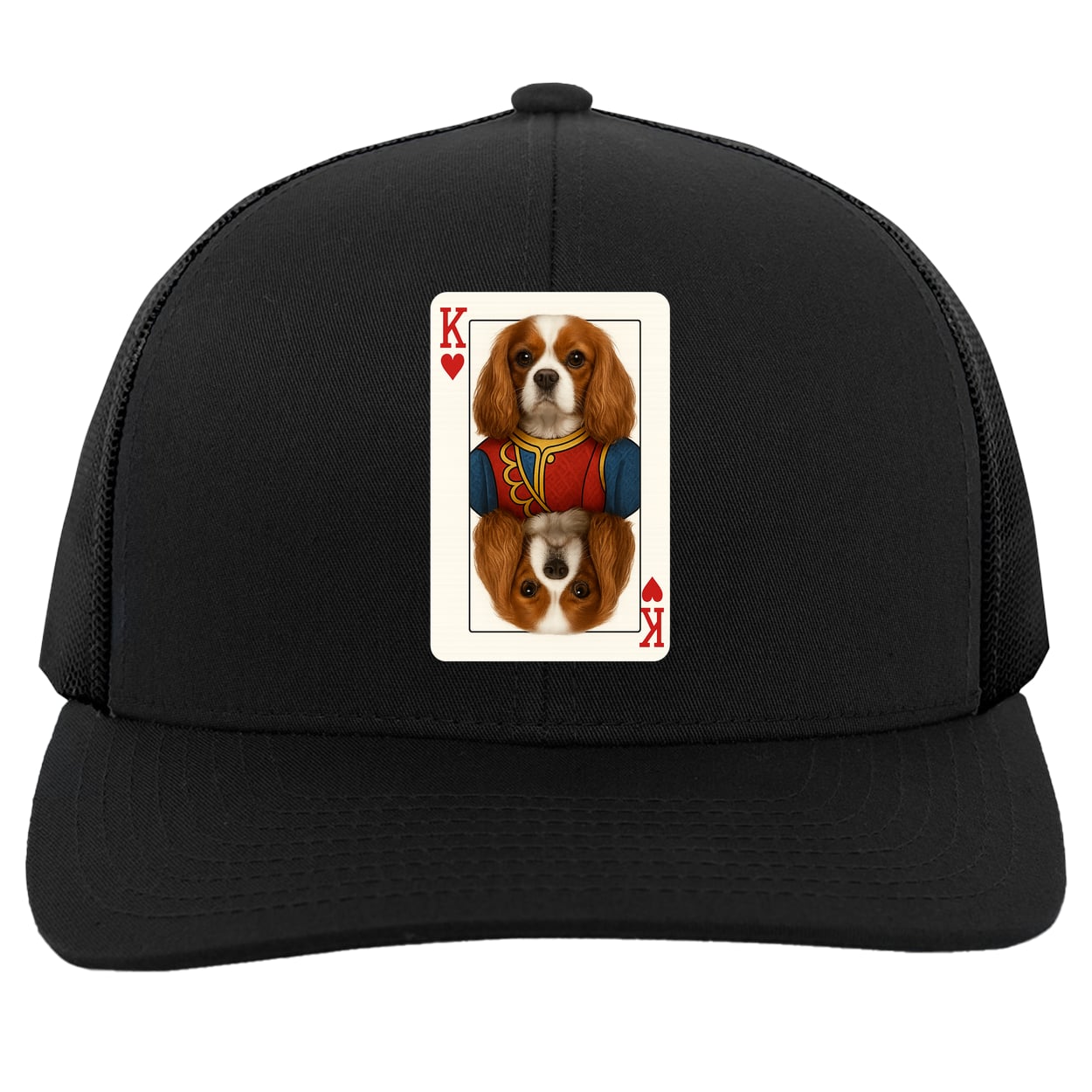 104C Trucker Snap Back - Black