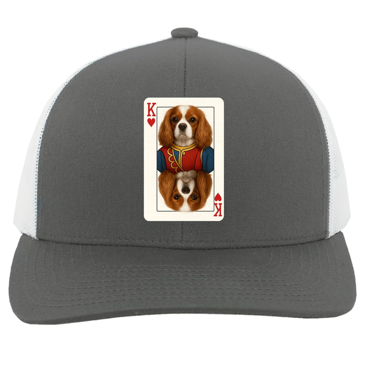 104C Trucker Snap Back - Graphite/White