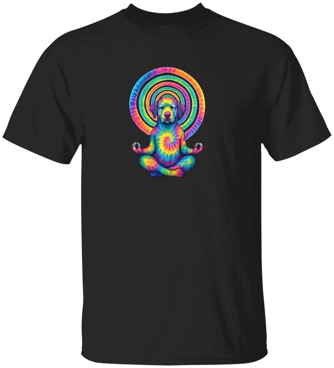 G500 Gildan 5.3 oz. T-Shirt - Black