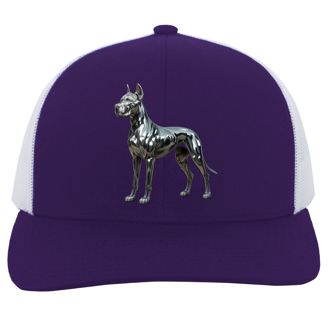 104C Trucker Snap Back - Purple/White