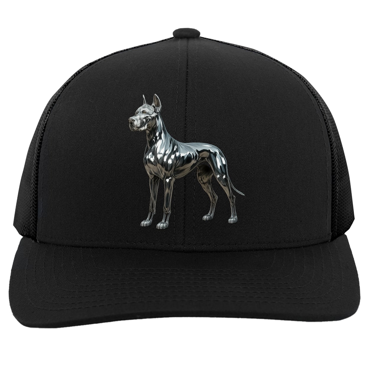 104C Trucker Snap Back - Black