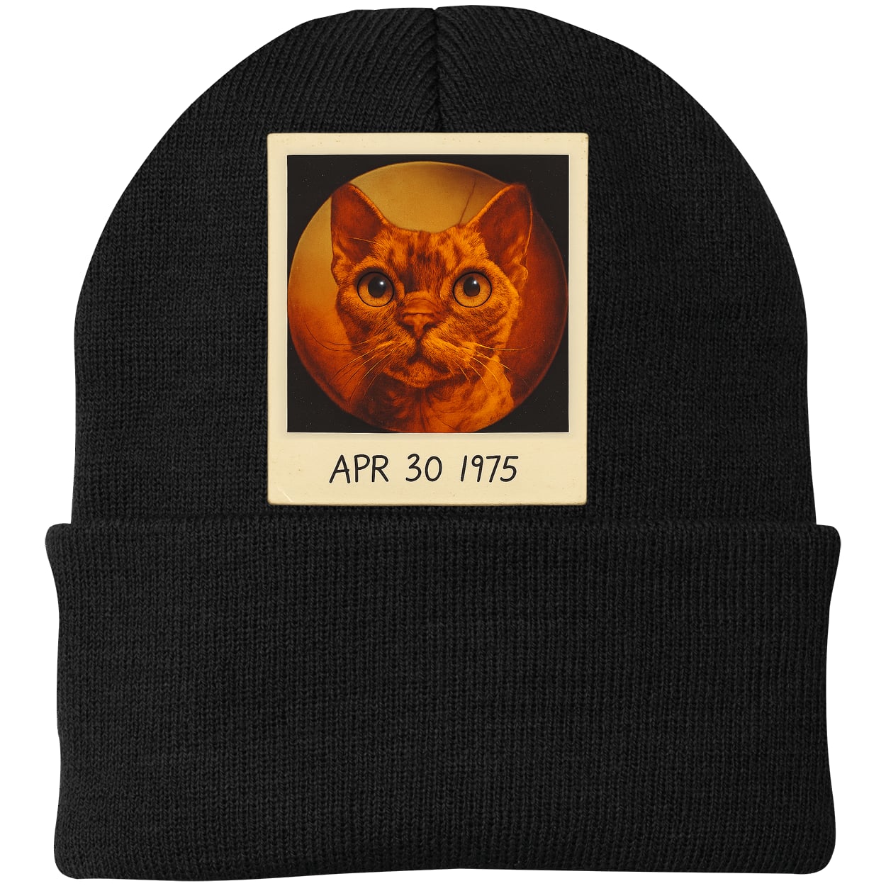 CP90 Port & Company Knit Beanie - Black
