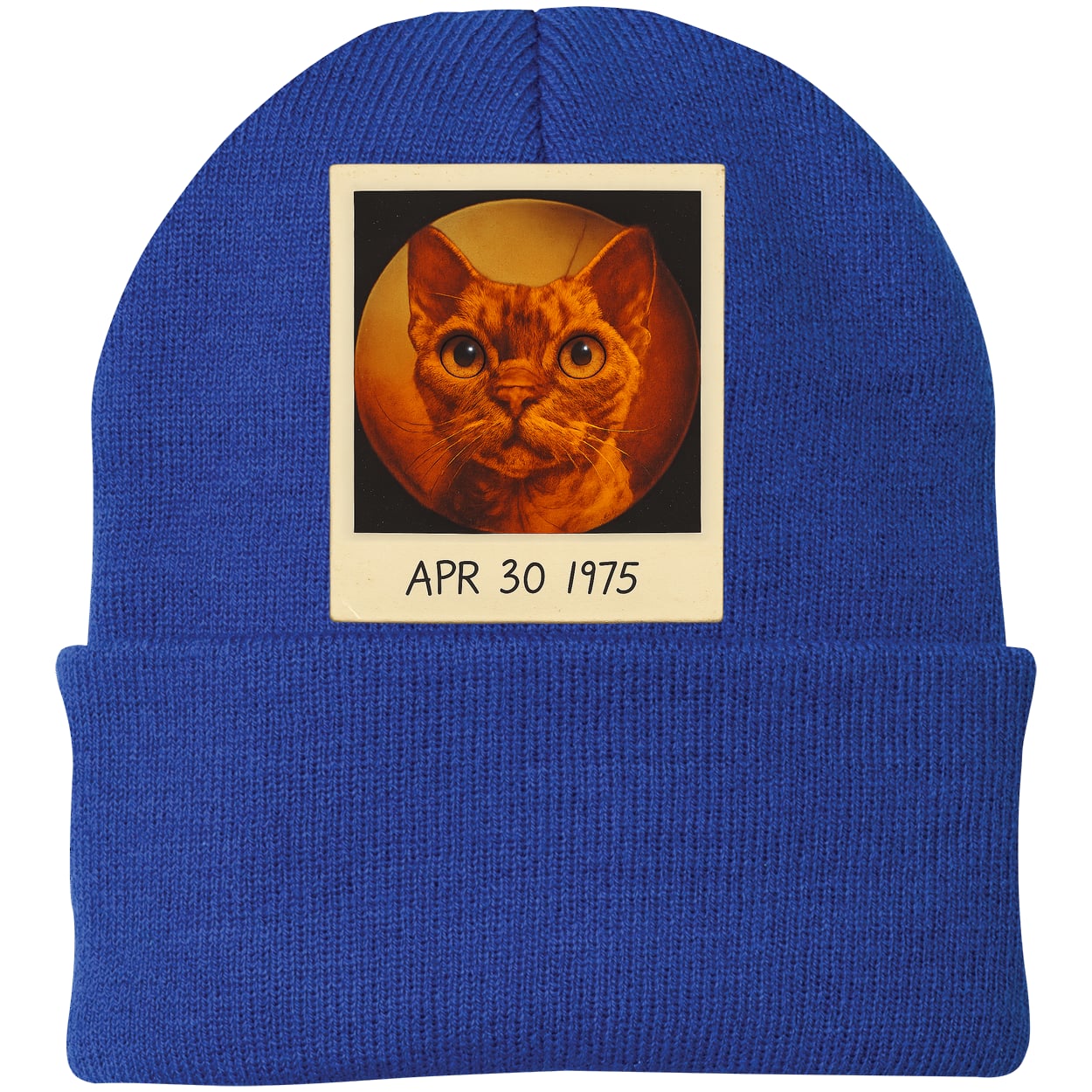 CP90 Port & Company Knit Beanie - Athletic Royal