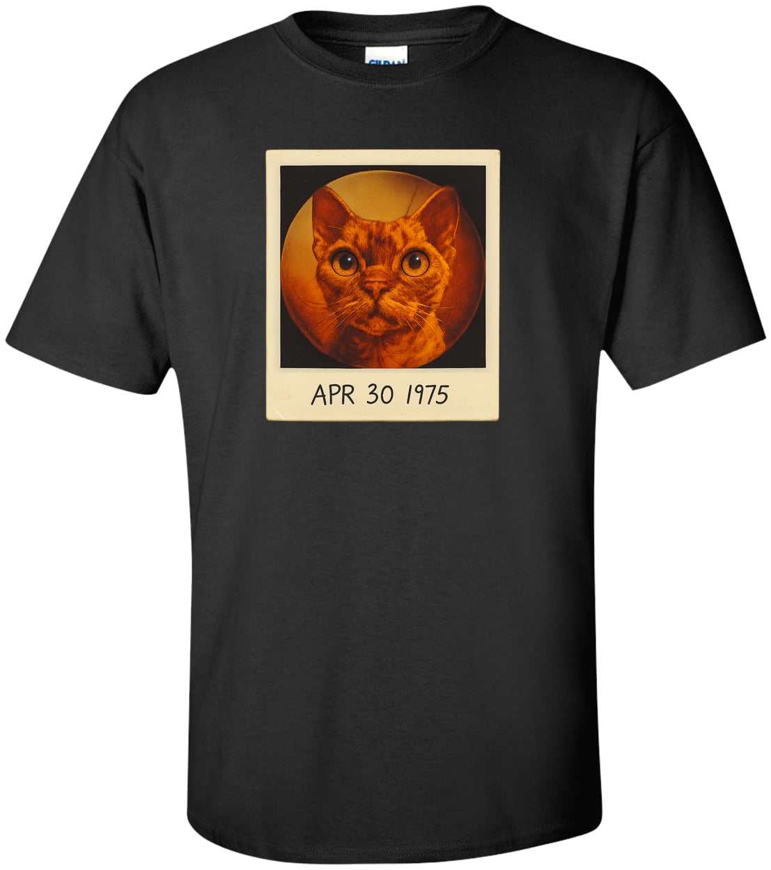 G200T Gildan Mens Tall Ultra Cotton Tee - Black