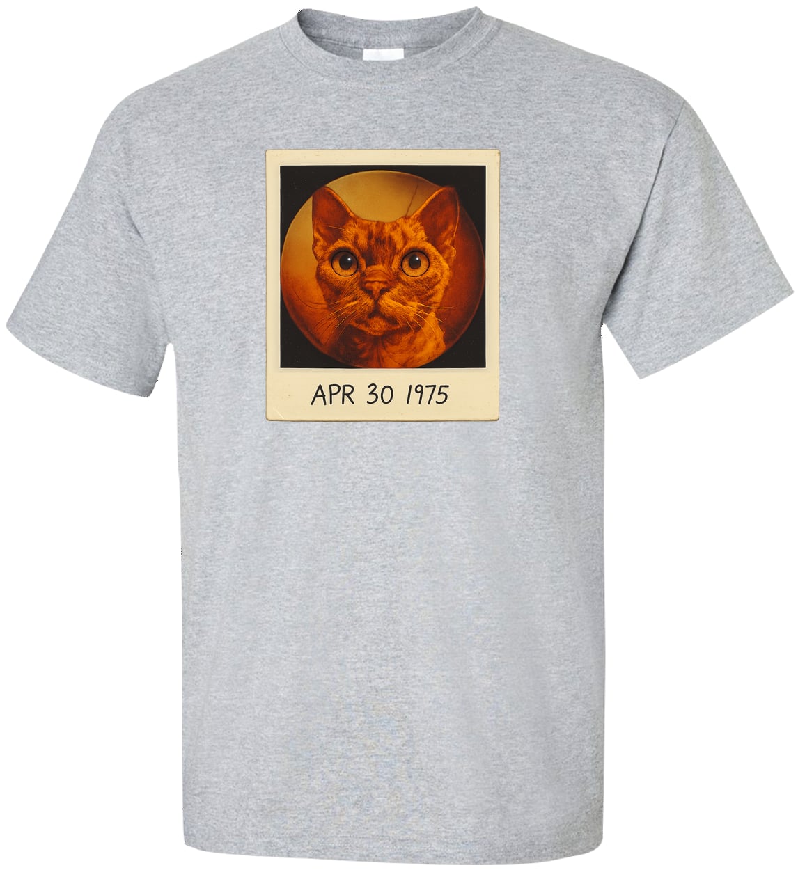 G200T Gildan Mens Tall Ultra Cotton Tee - Sport Grey