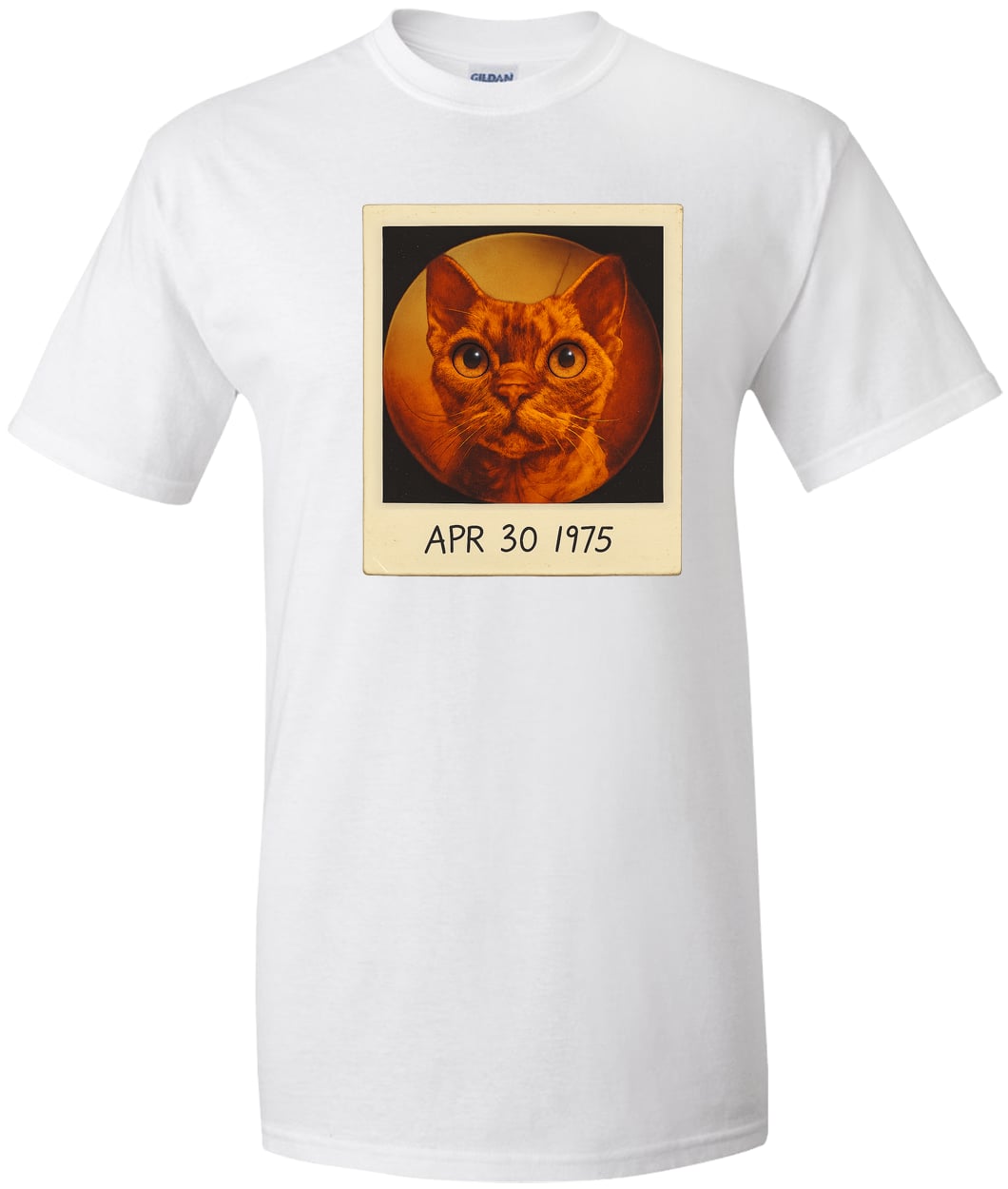 G200T Gildan Mens Tall Ultra Cotton Tee - White