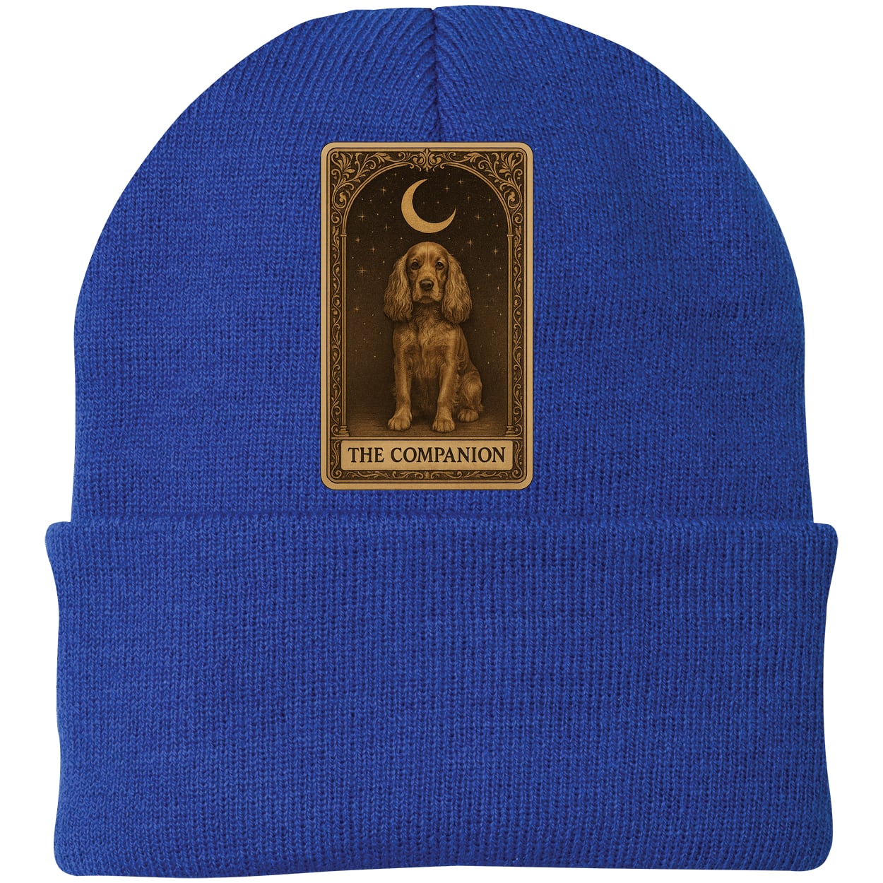 CP90 Port & Company Knit Beanie - Athletic Royal