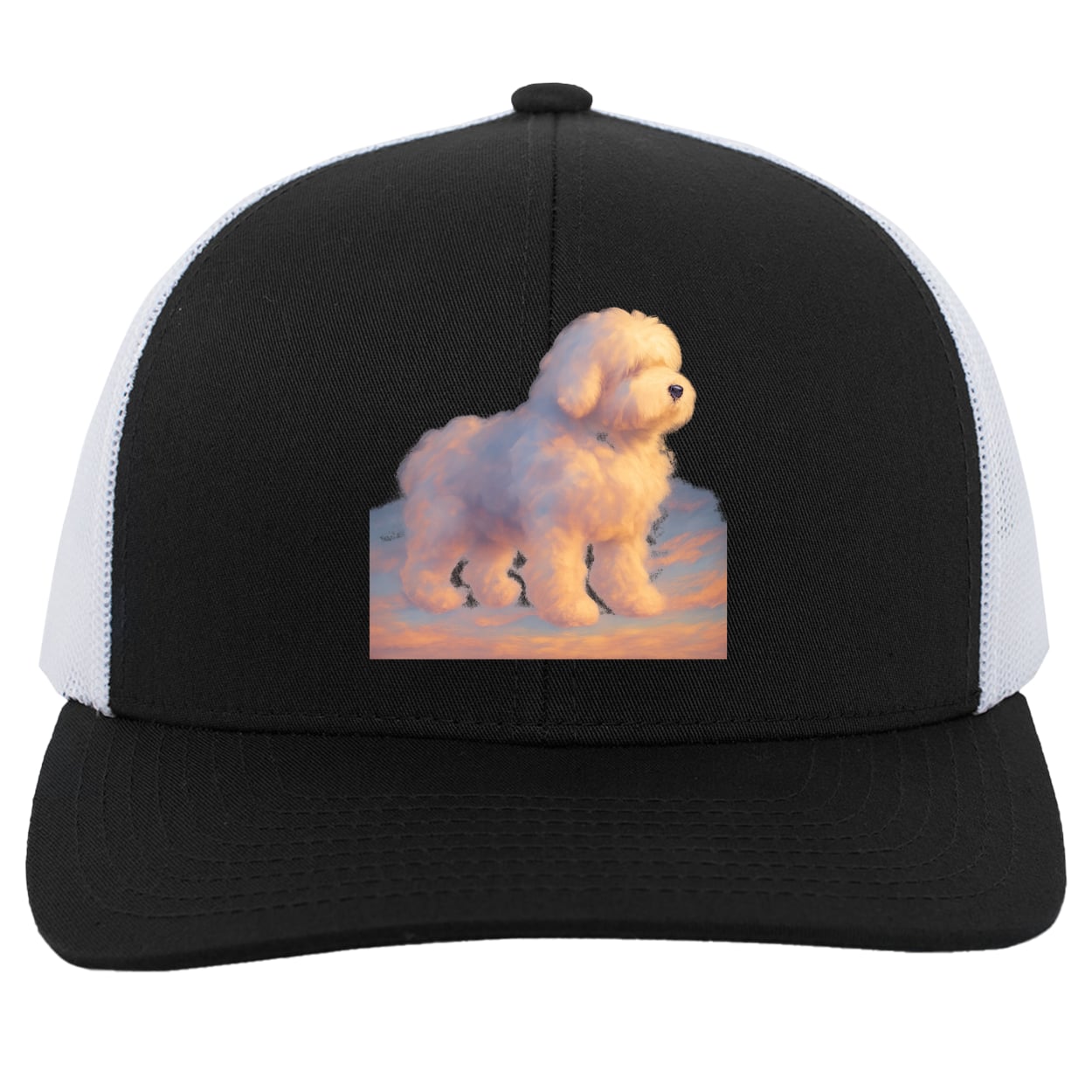 104C Trucker Snap Back - Black/White