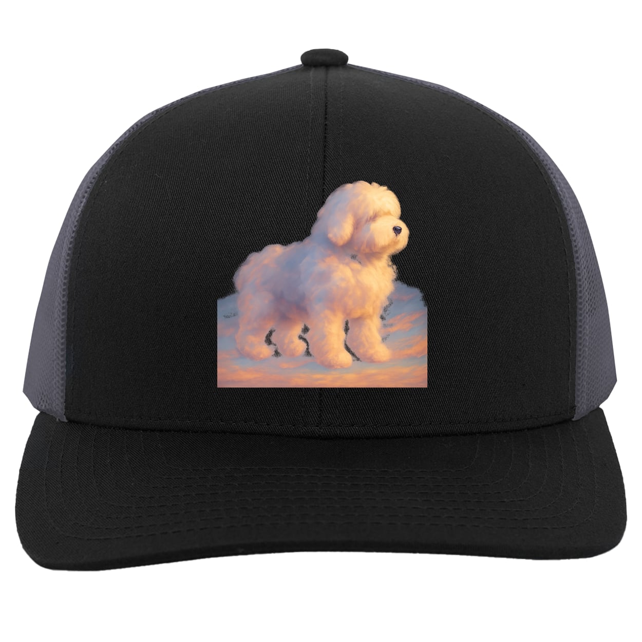 104C Trucker Snap Back - Black/Graphite