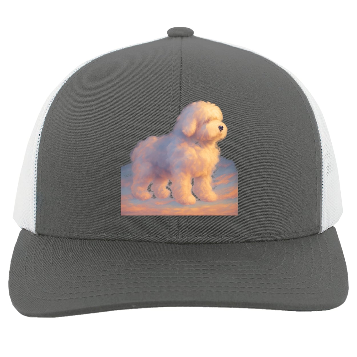 104C Trucker Snap Back - Graphite/White