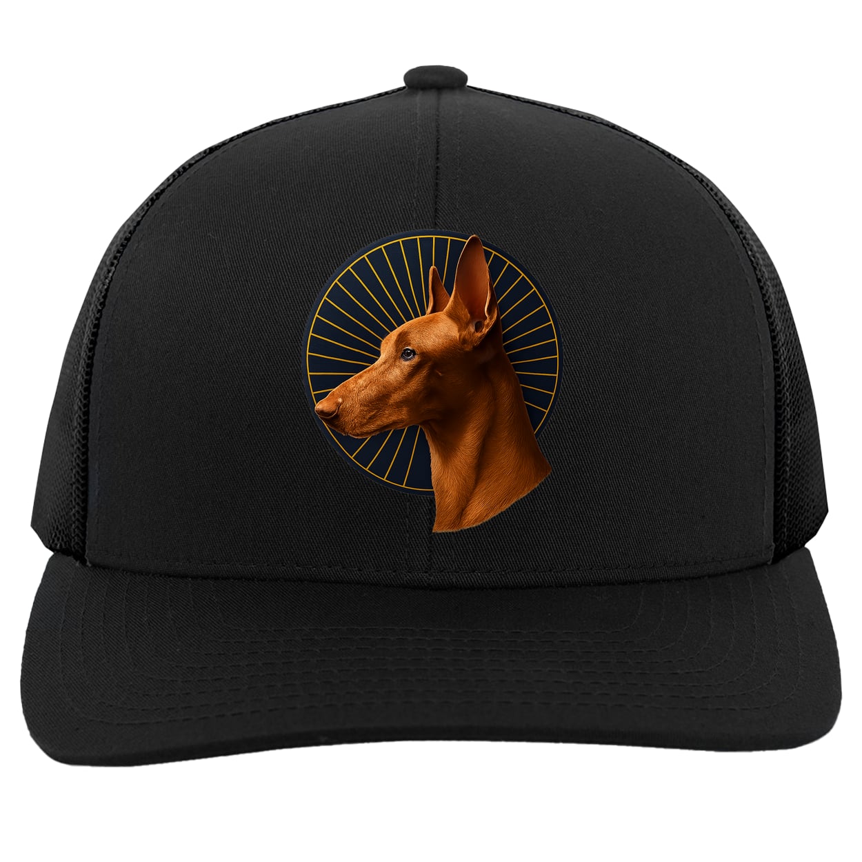 104C Trucker Snap Back - Black