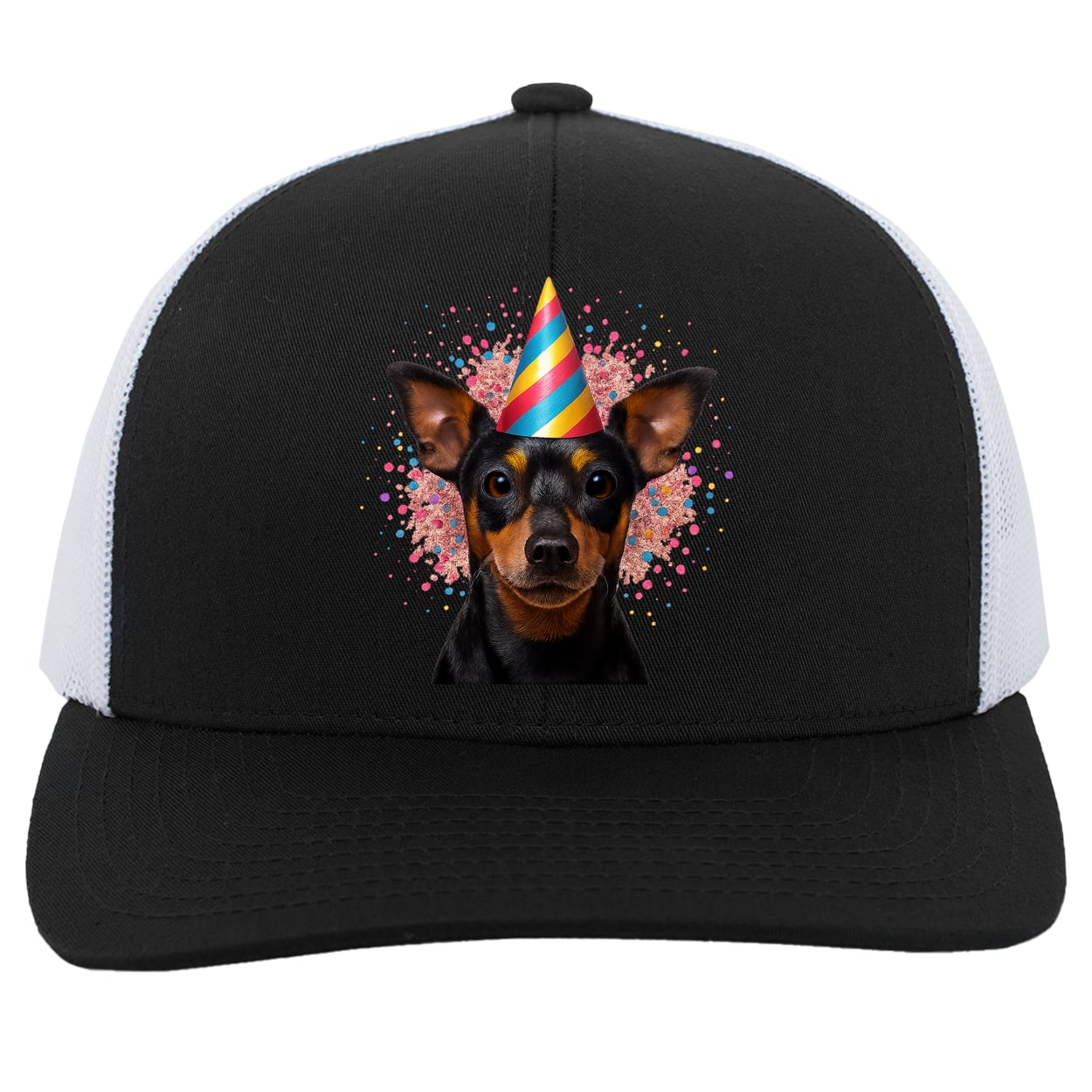 104C Trucker Snap Back - Black/White