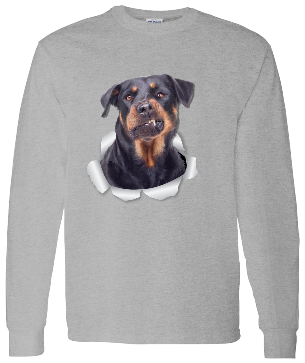 G540 LS T-Shirt 5.3 oz. - Sport Grey