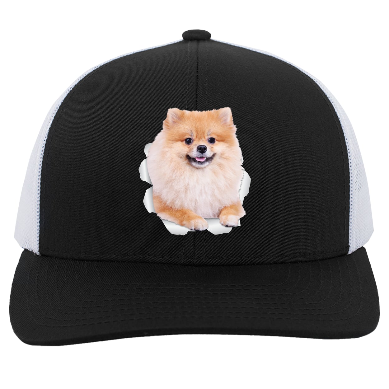104C Trucker Snap Back - Black/White