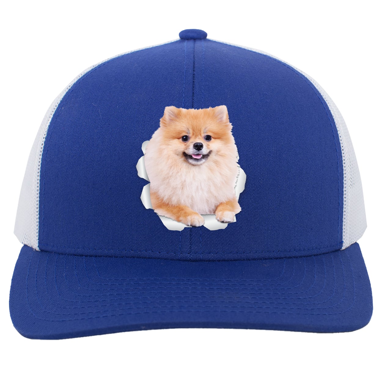 104C Trucker Snap Back - Royal/White