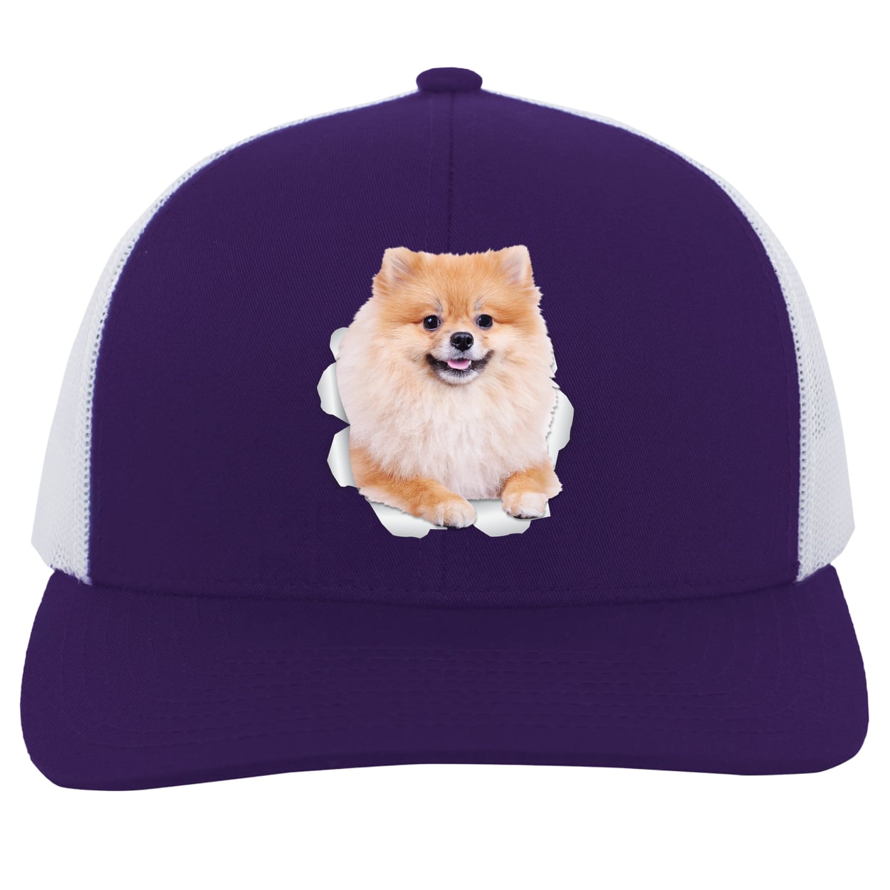 104C Trucker Snap Back - Purple/White