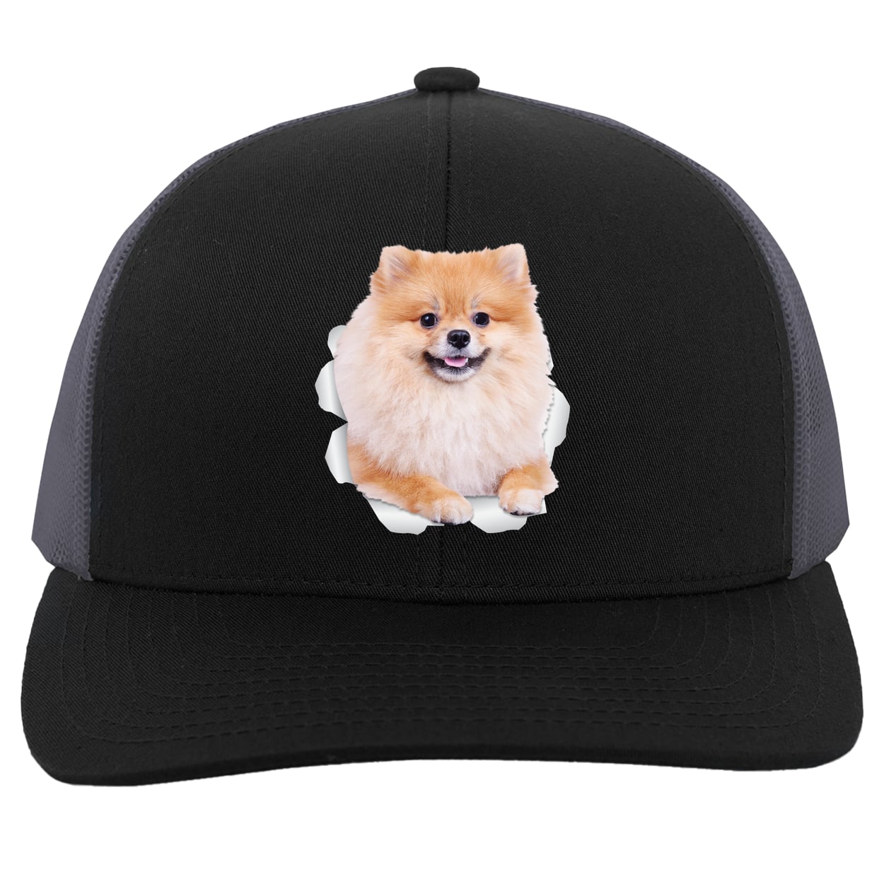 104C Trucker Snap Back - Black/Graphite