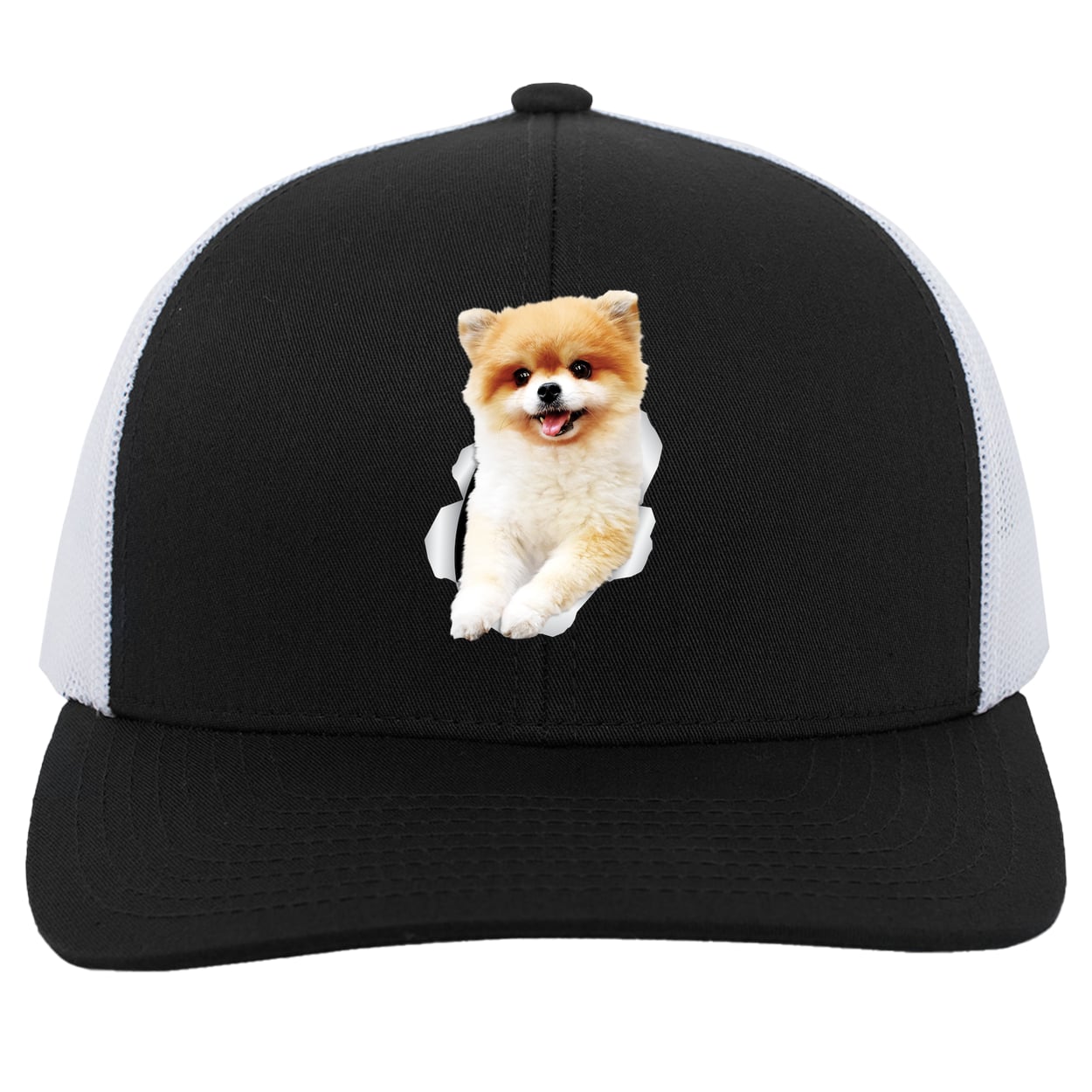 104C Trucker Snap Back - Black/White