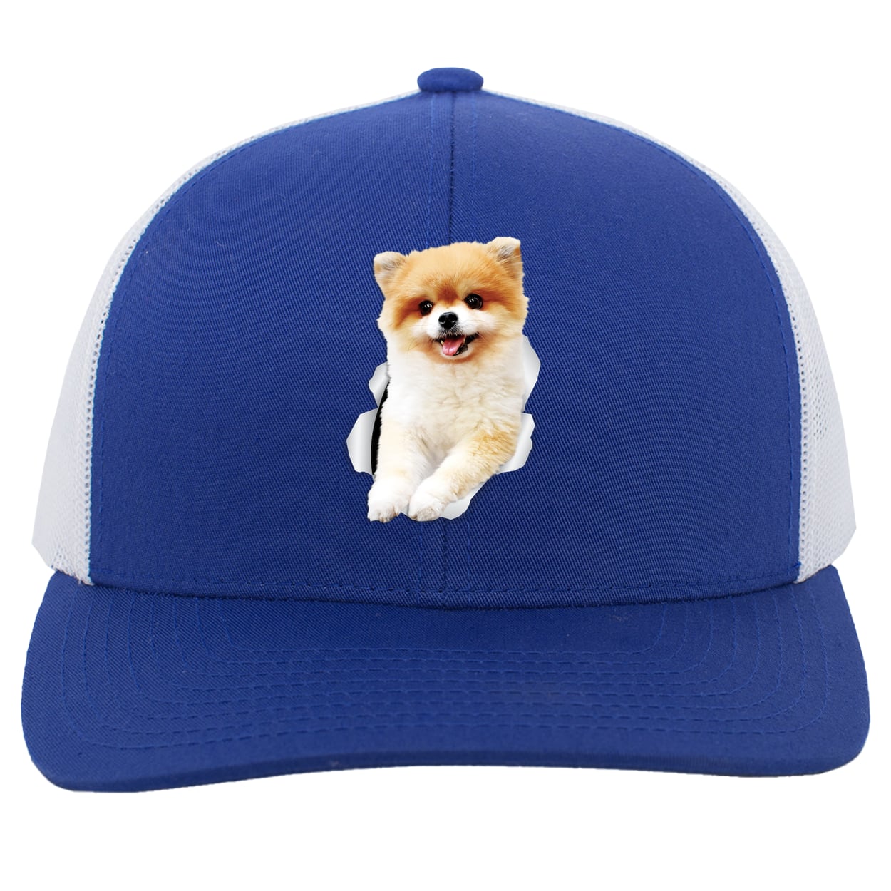 104C Trucker Snap Back - Royal/White