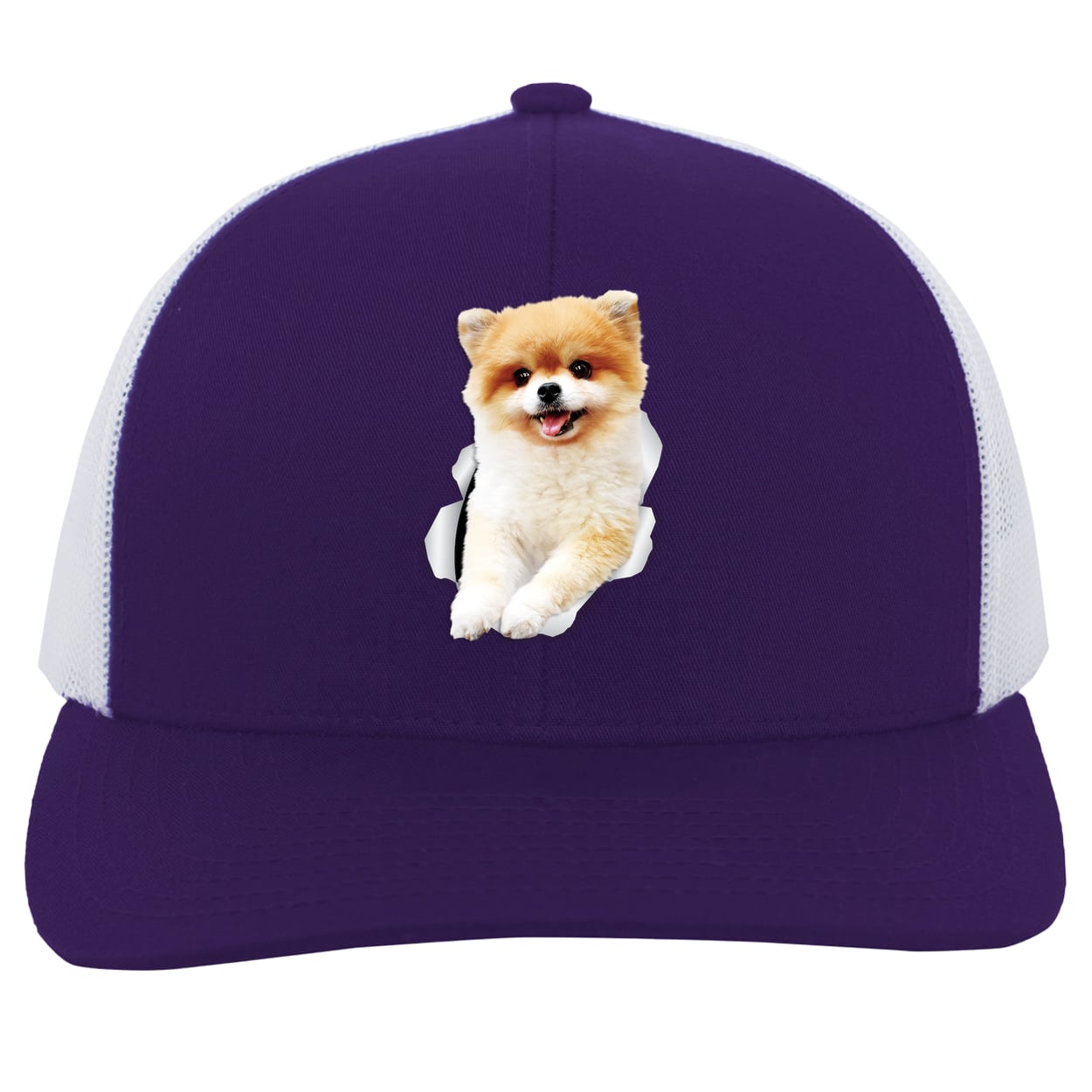 104C Trucker Snap Back - Purple/White