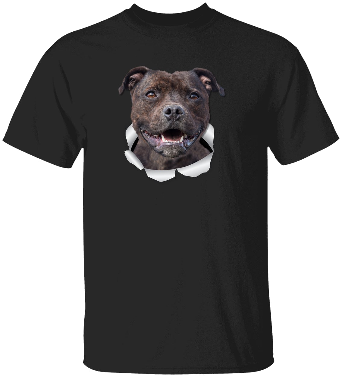 G500 Gildan 5.3 oz. T-Shirt - Black