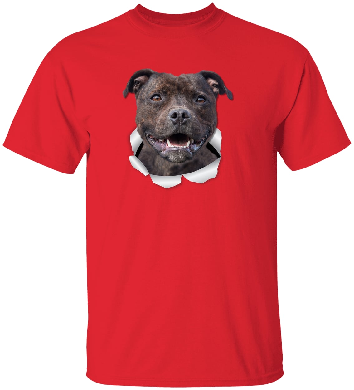 G500 Gildan 5.3 oz. T-Shirt - Red