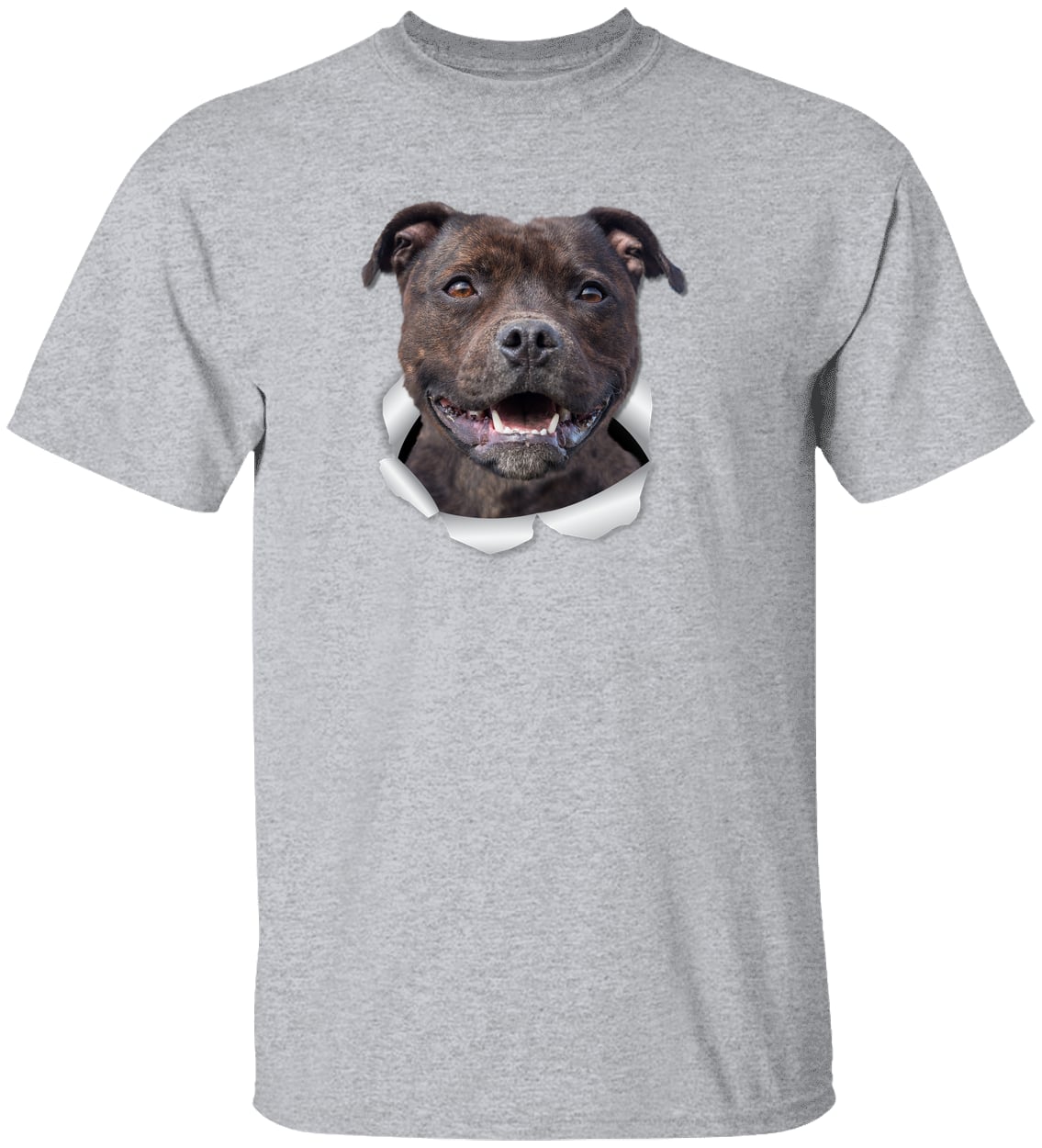 G500 Gildan 5.3 oz. T-Shirt - Sport Grey