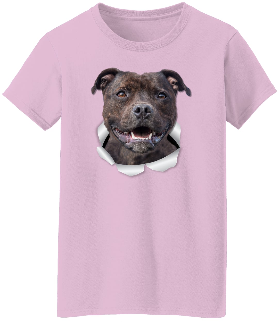 G500L Ladies' 5.3 oz. T-Shirt - Light Pink