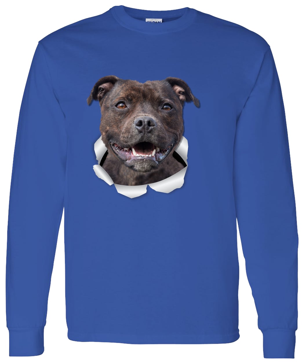 G540 LS T-Shirt 5.3 oz. - Royal