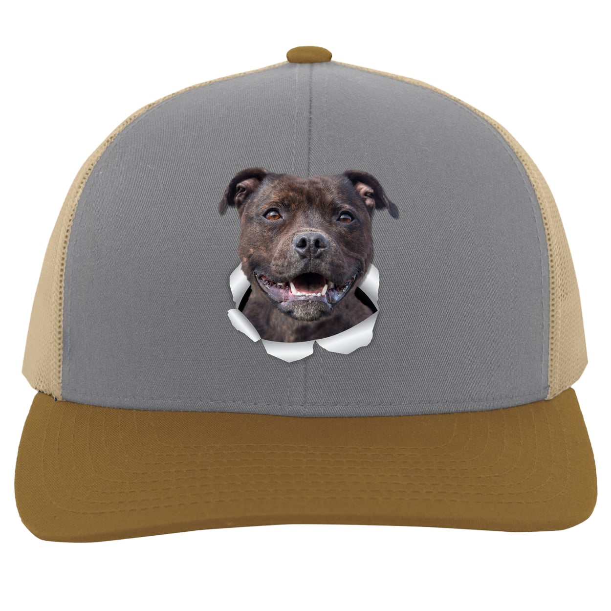 104C Trucker Snap Back - Heather/Beige/Amber