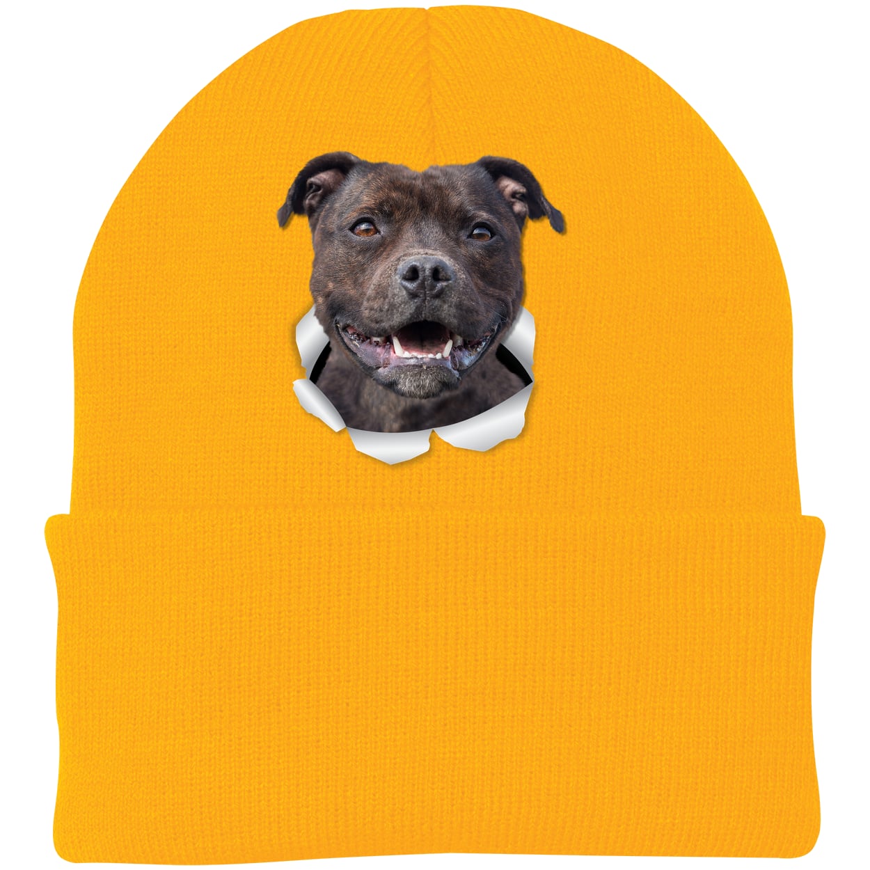 CP90 Port & Company Knit Beanie - Athletic Gold