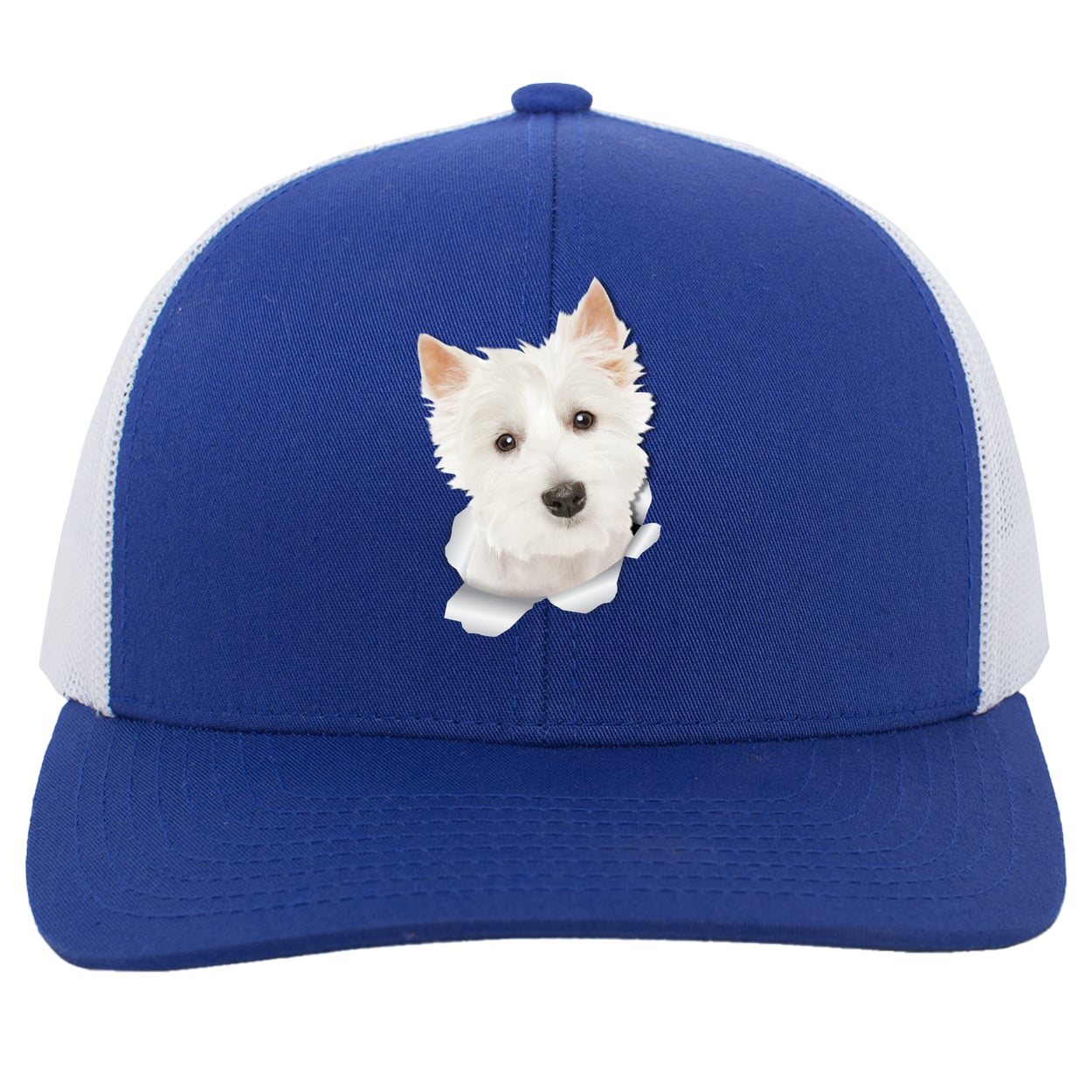 104C Trucker Snap Back - Royal/White