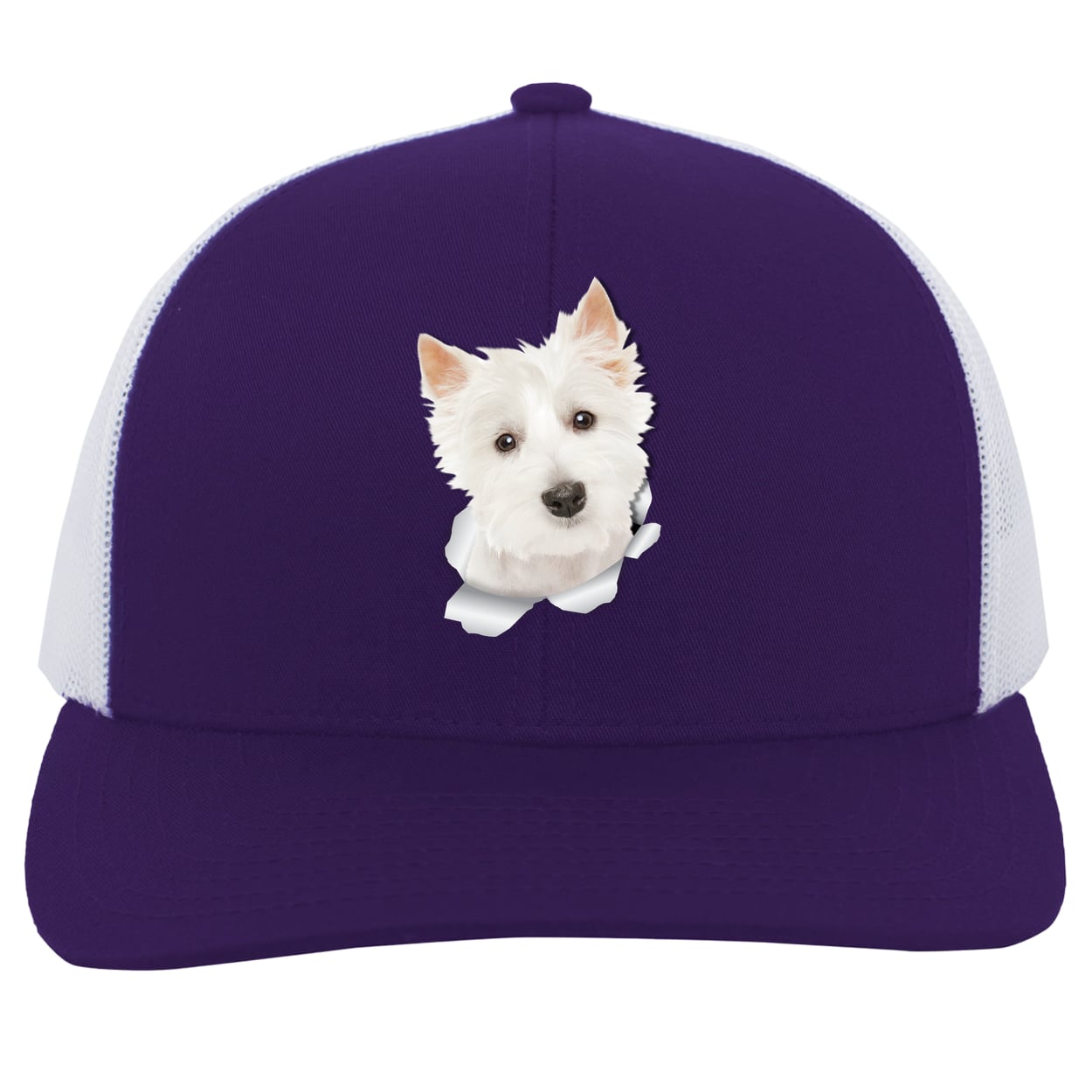 104C Trucker Snap Back - Purple/White