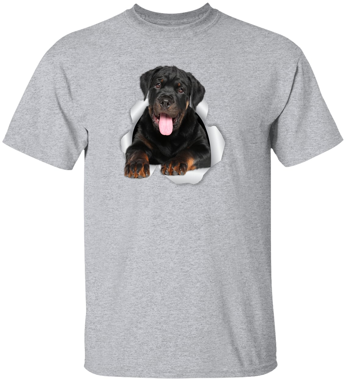 G500 Gildan 5.3 oz. T-Shirt - Sport Grey