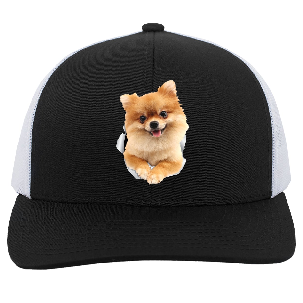 104C Trucker Snap Back - Black/White