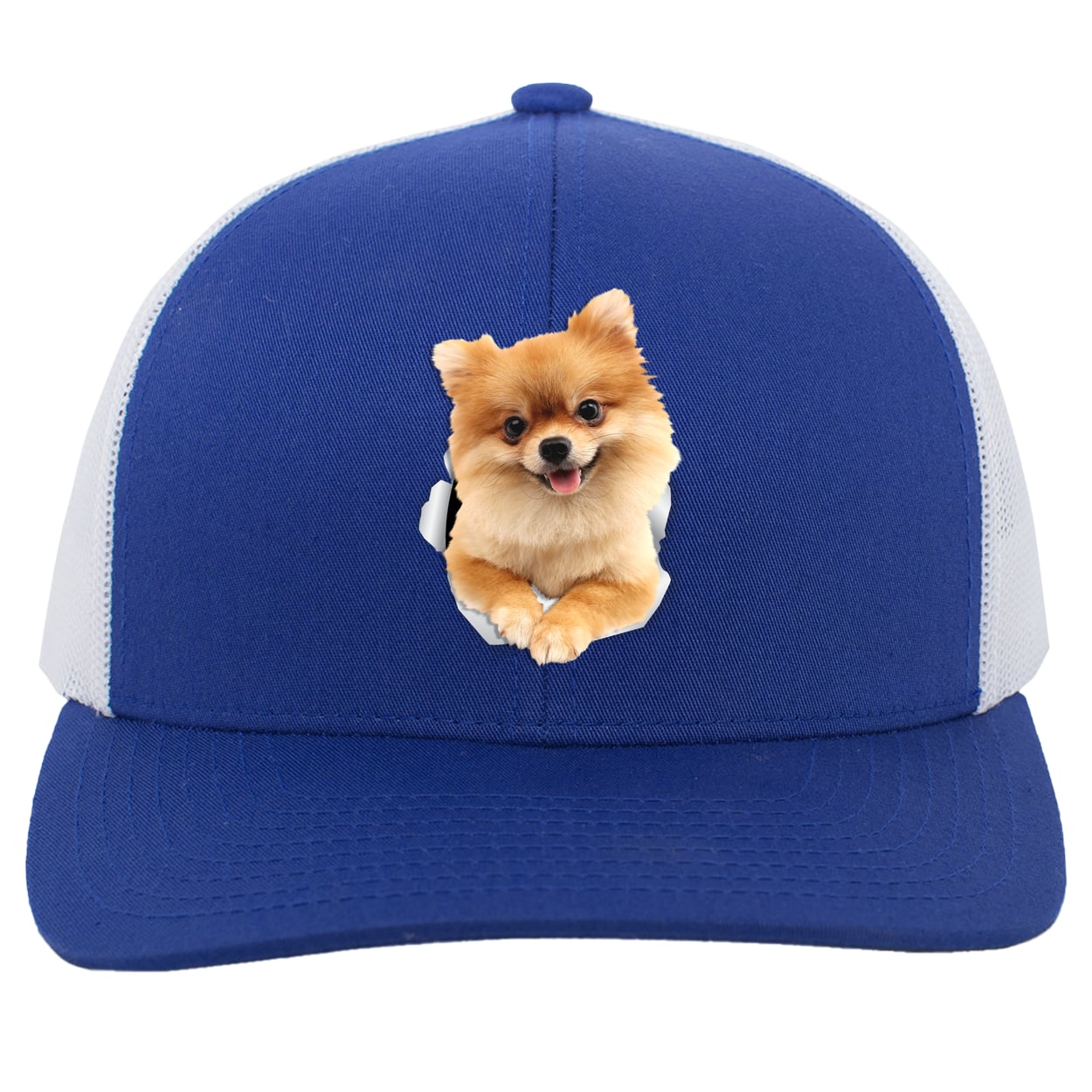 104C Trucker Snap Back - Royal/White