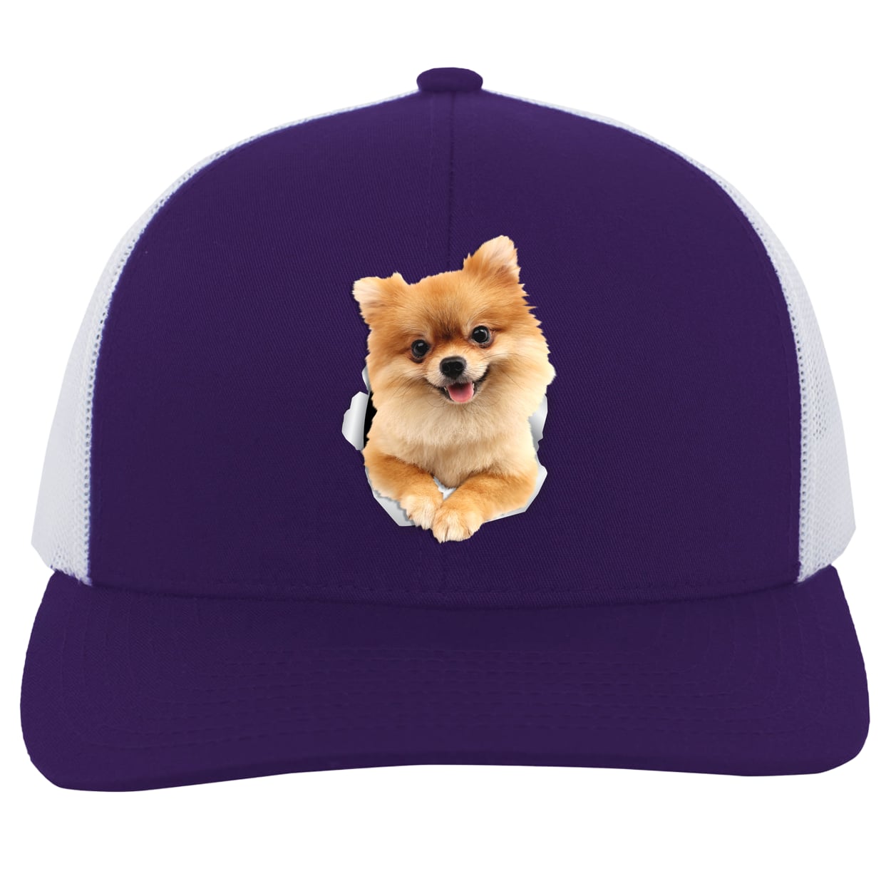 104C Trucker Snap Back - Purple/White