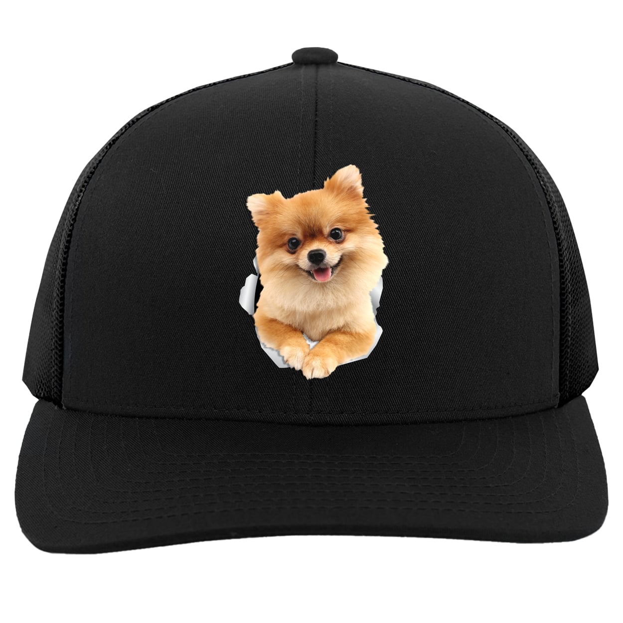 104C Trucker Snap Back - Black