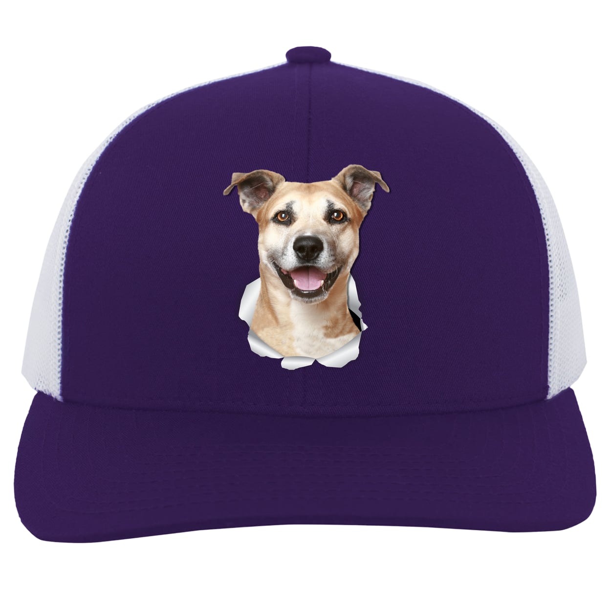 104C Trucker Snap Back - Purple/White